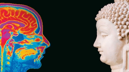 Ý vui niềm bất hại